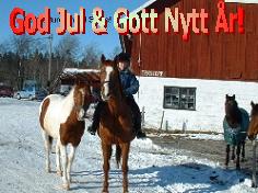 Gejsas bidrag nr 1 Gejsas bidrag nr 1