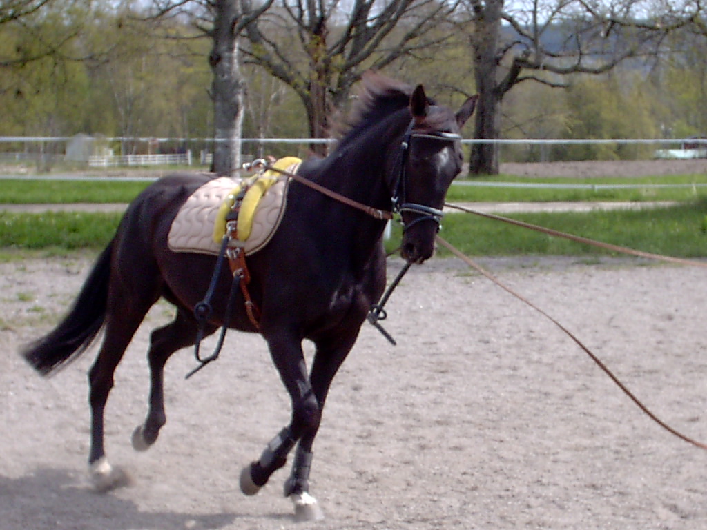 Min prinsessa =)