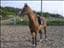 EmelieLindqviat