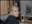 Fluga_88