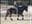 Irpa_2000